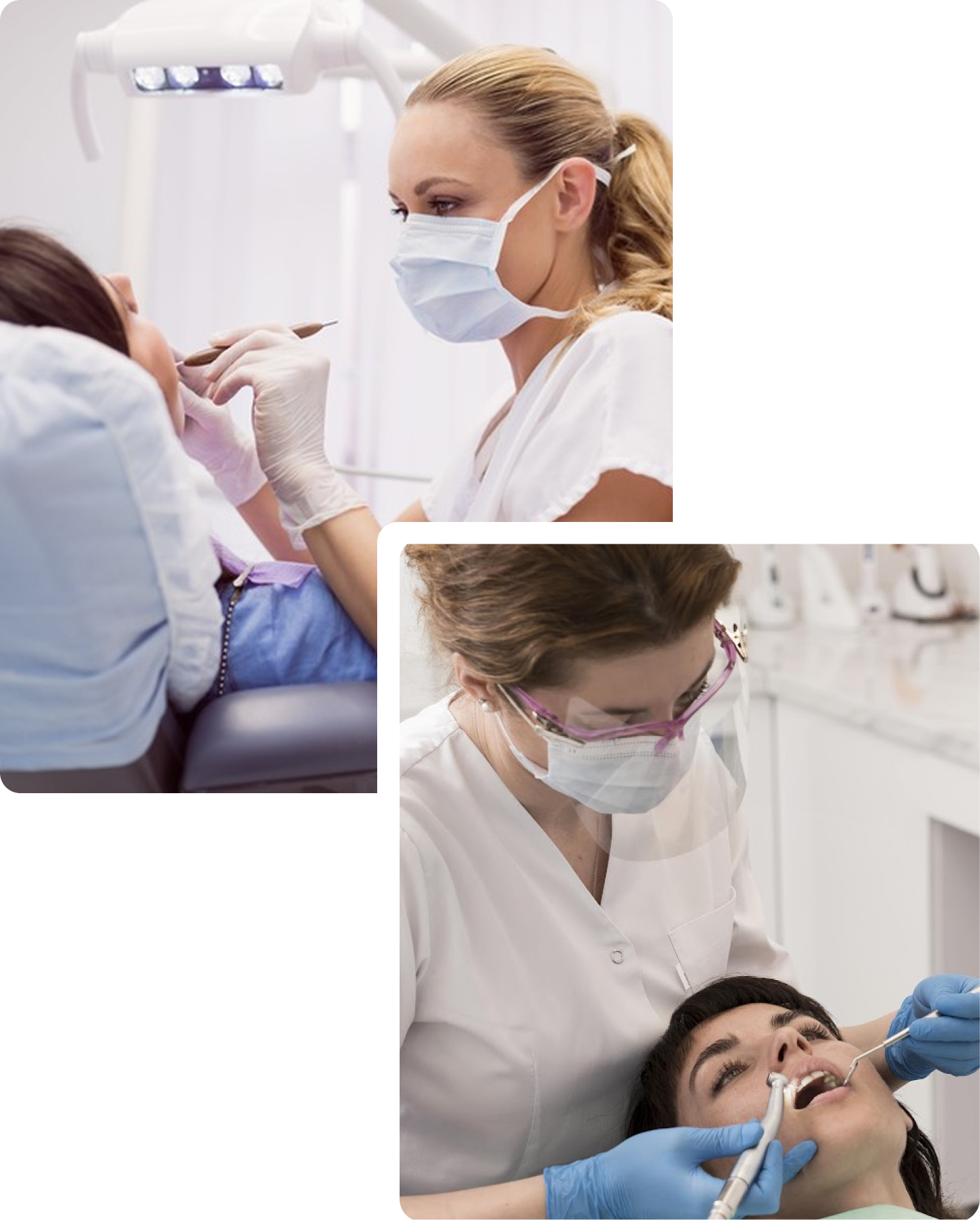 Dr Leila Zamani providing dental care at her Melbourne CBD practice